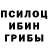 Псилоцибиновые грибы Psilocybine cubensis Sandioriva Jr