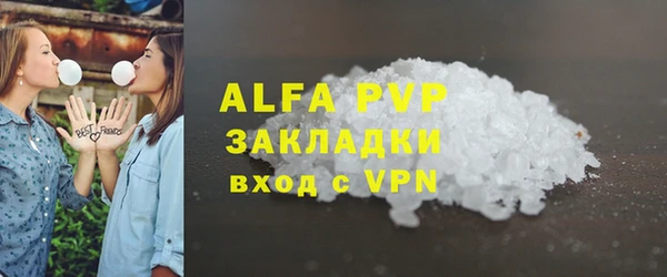 сатива Алзамай